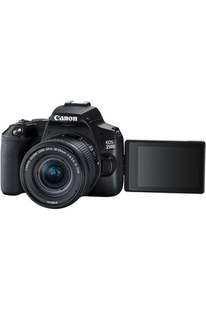 Appareil photo Reflex CANON PACK REFLEX 250D + 18-55 IS STM + SACOCHE + SD 16GO