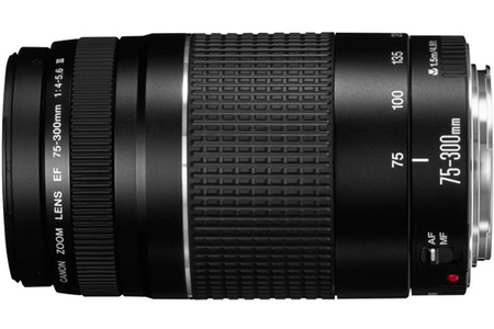 Objectif zoom CANON EF 75-300MM F/4-5,6 III