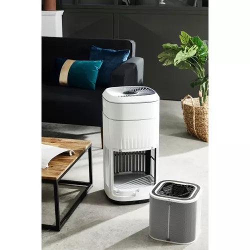 Purificateur d'air ROWENTA Pure home PU8080F0